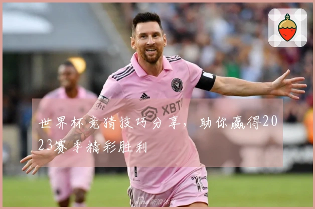 世界杯竞猜技巧分享，助你赢得2023赛季精彩胜利
