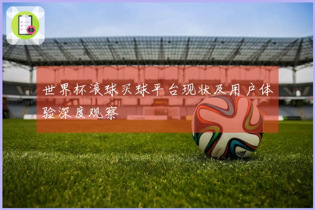 世界杯滚球买球平台现状及用户体验深度观察